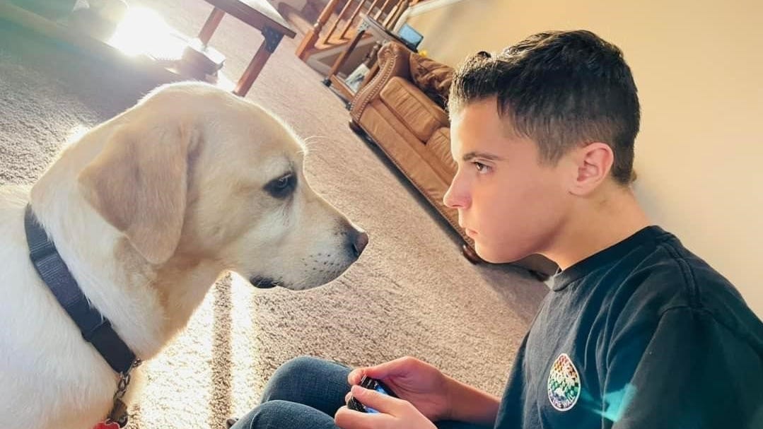 After he lost his life-saving dog, Berkeley rallies to get teen with ...